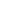 Governance Integrity Governance Integrity